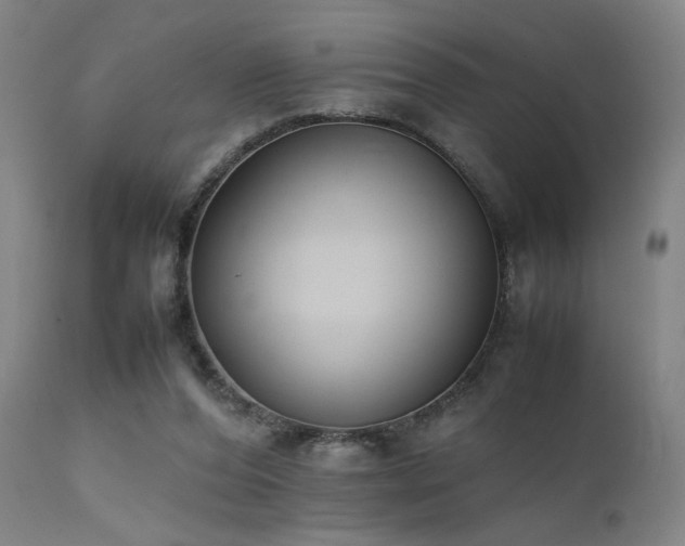 X0000111500208200907141320