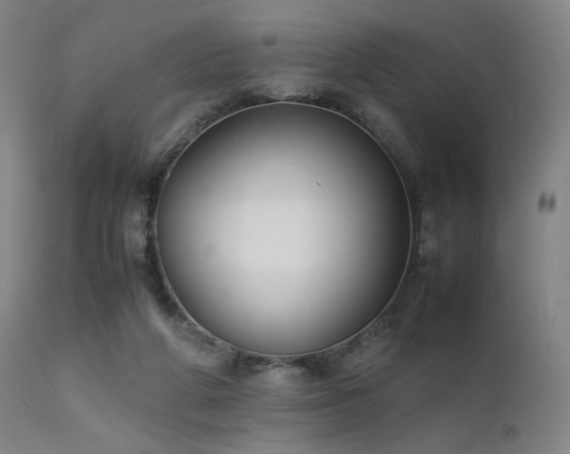 X0000111500210200907141320