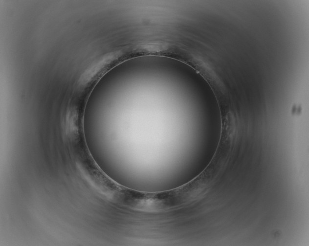 X0000111500212200907141320