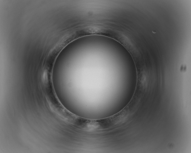 X0000111500214200907141320