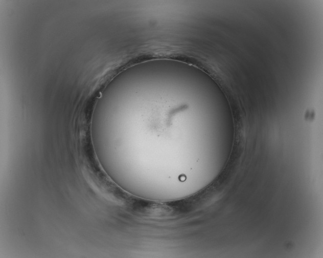 X0000111500215200907141320