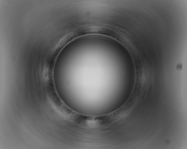X0000111500216200907141320