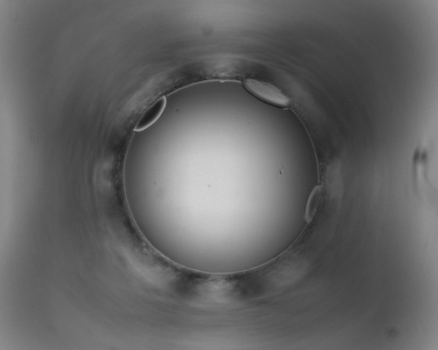 X0000111500217200907141320