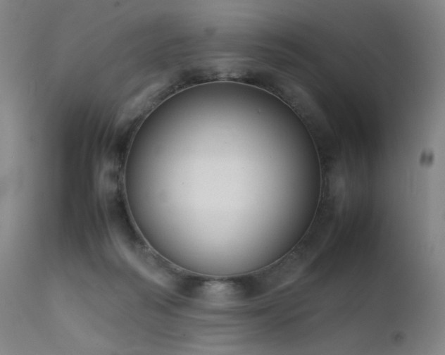 X0000111500218200907141320