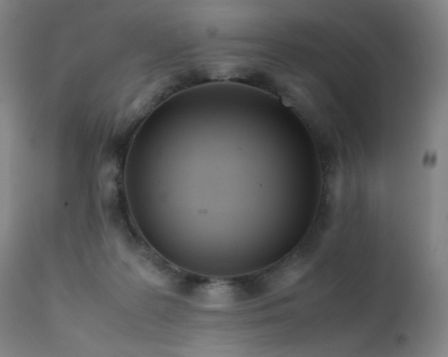 X0000111500219200907141320