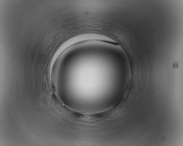X0000111500221200907141320