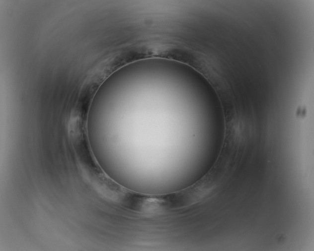 X0000111500222200907141320