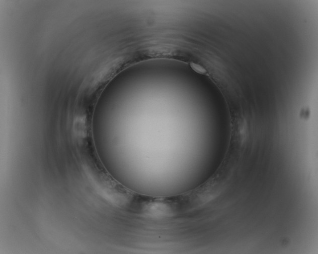 X0000111500224200907141320