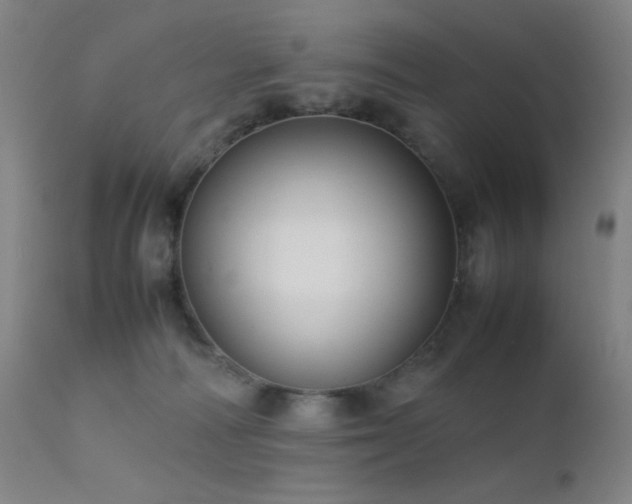 X0000111500226200907141320
