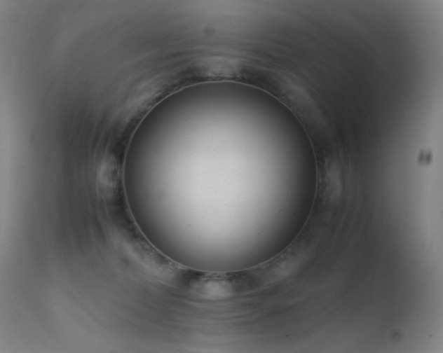 X0000111500228200907141320