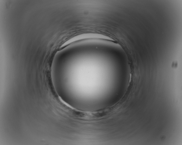 X0000111500229200907141320
