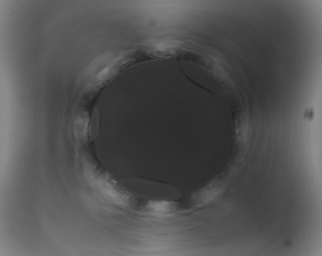 X0000111500231200907141320