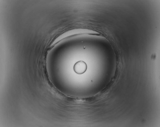 X0000111500233200907141320