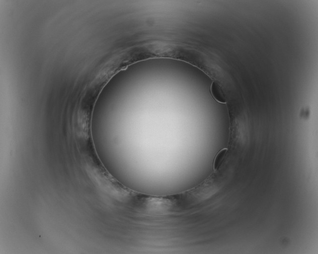 X0000111500234200907141320