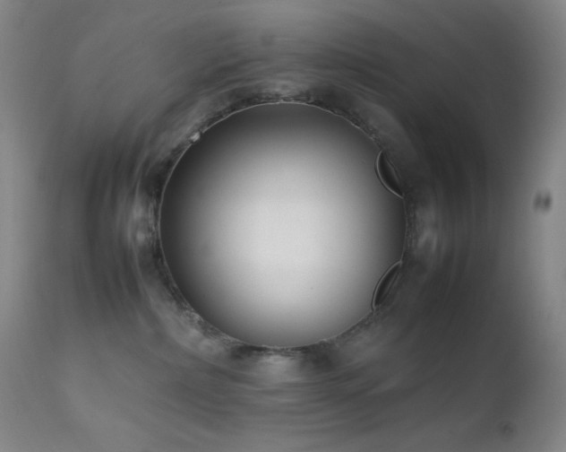 X0000111500236200907141320