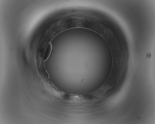 X0000111500239200907141320