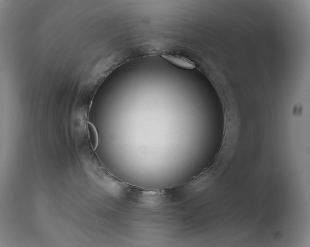 X0000111500240200907141320