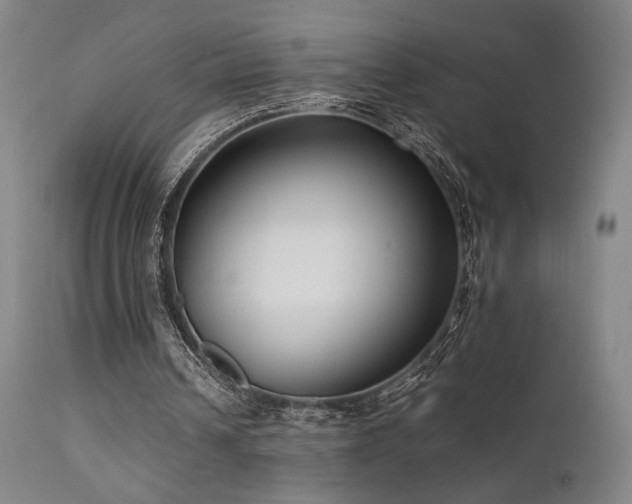 X0000111500242200907141319