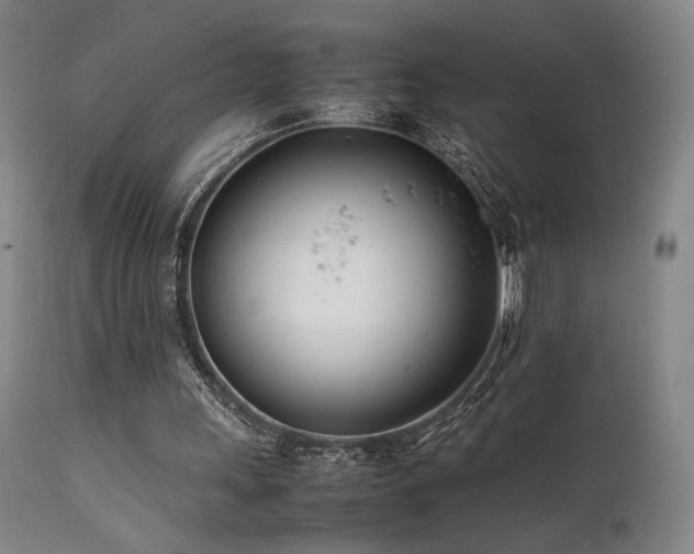 X0000111500243200907141319