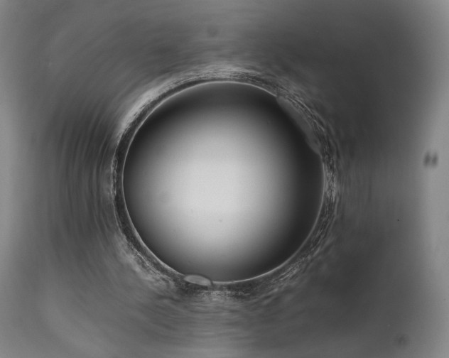X0000111500244200907141319