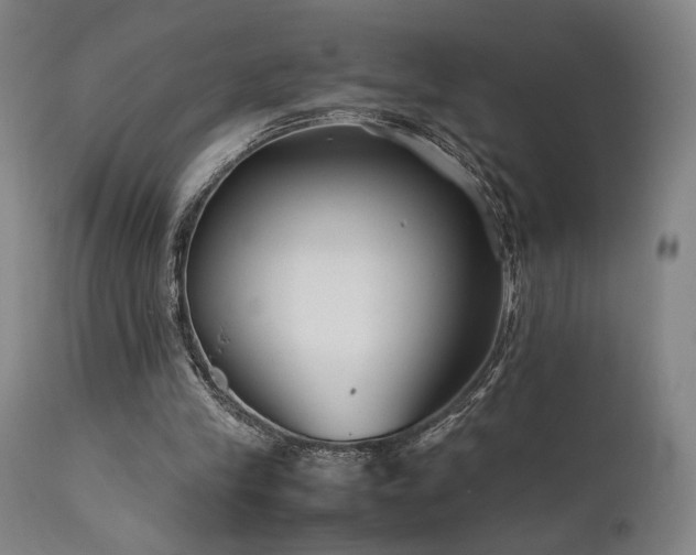 X0000111500245200907141319