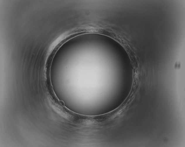 X0000111500246200907141319