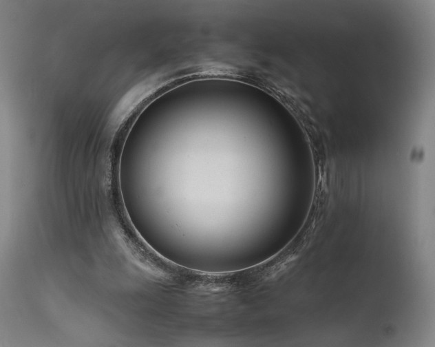 X0000111500247200907141319