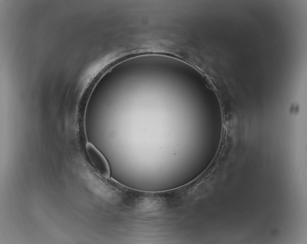 X0000111500248200907141319