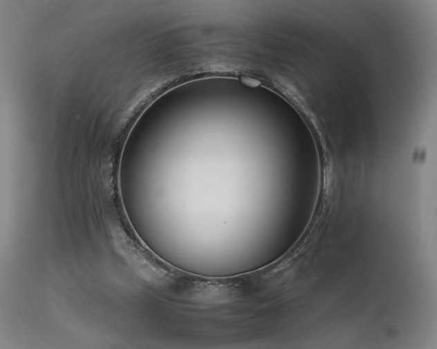 X0000111500249200907141319
