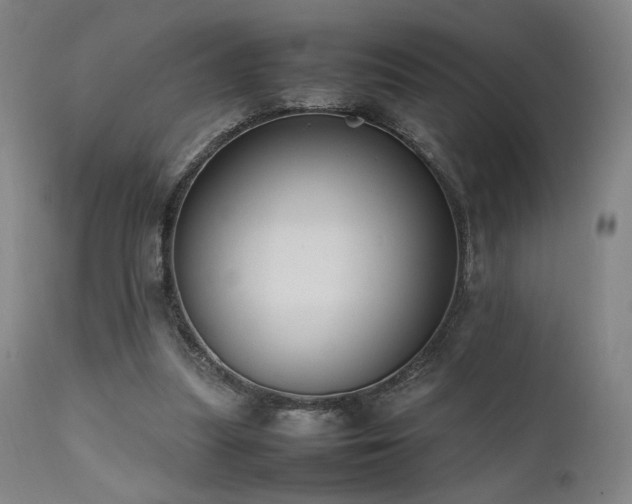 X0000111500251200907141319