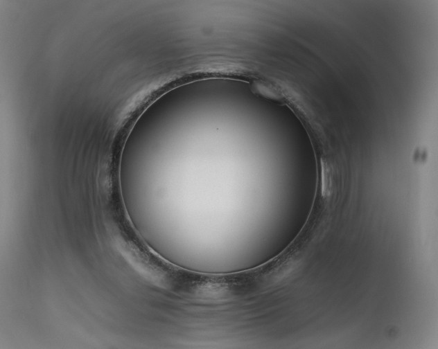 X0000111500252200907141319