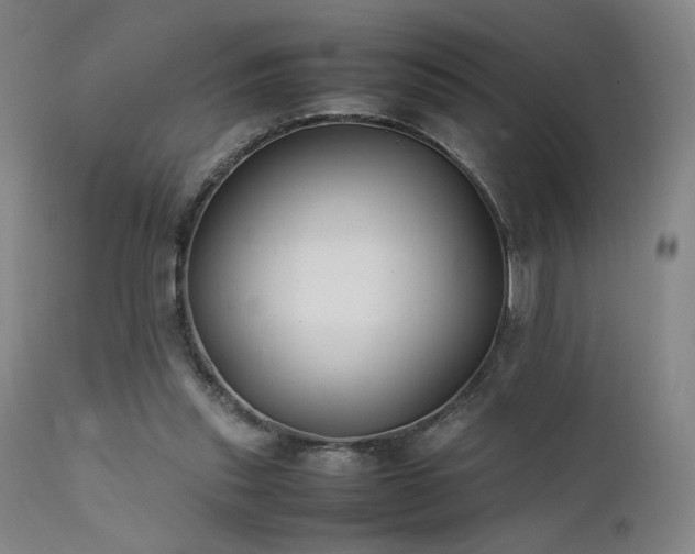 X0000111500253200907141319