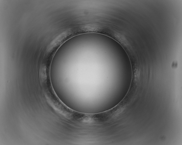 X0000111500254200907141319