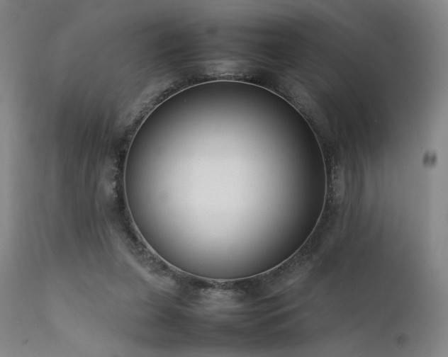 X0000111500255200907141319