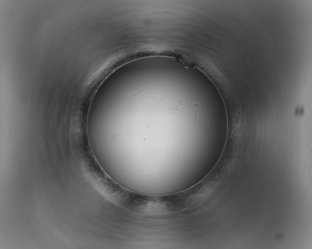 X0000111500256200907141319