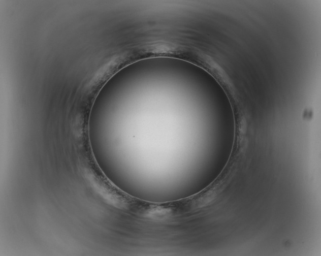 X0000111500257200907141319