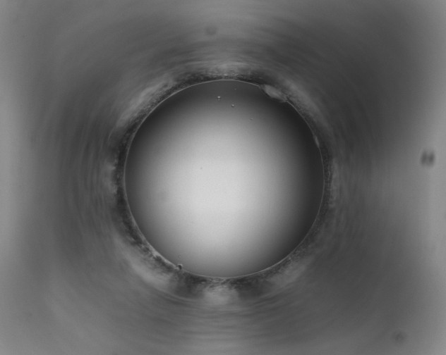X0000111500258200907141319