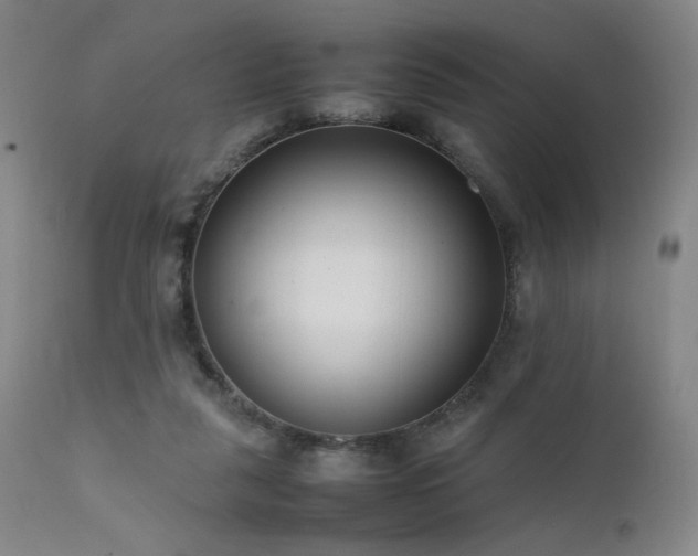 X0000111500259200907141319