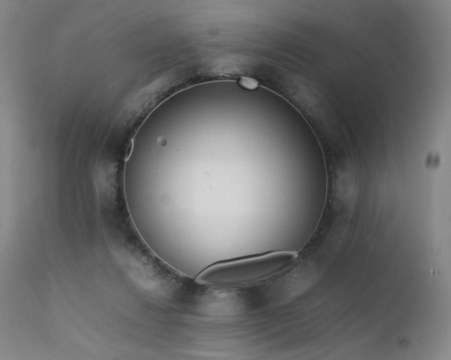 X0000111500260200907141319