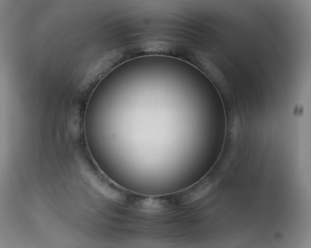 X0000111500261200907141319