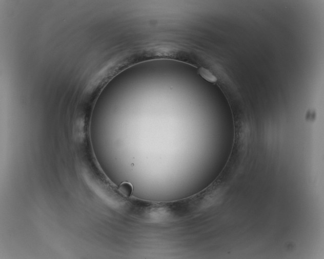 X0000111500262200907141319