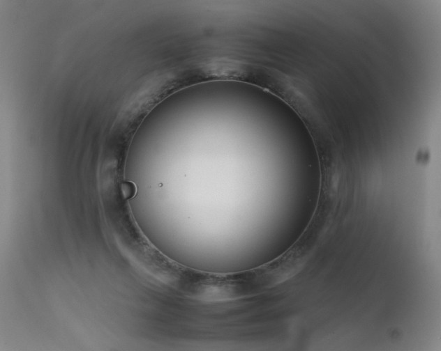 X0000111500263200907141319