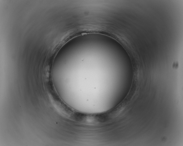 X0000111500264200907141319