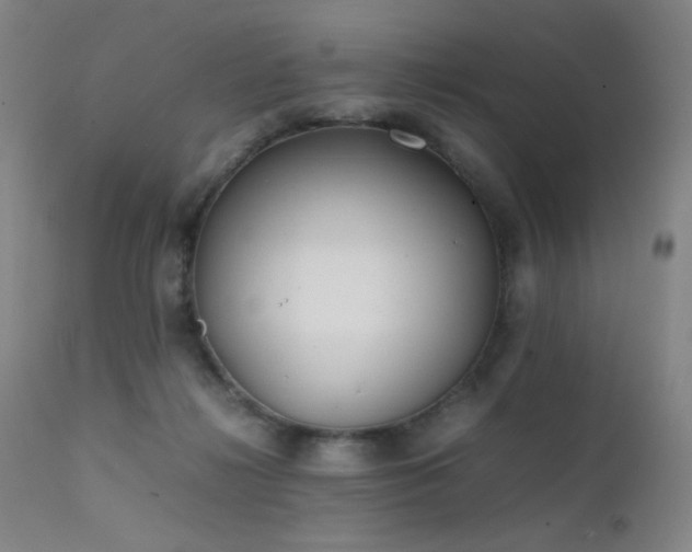 X0000111500268200907141320
