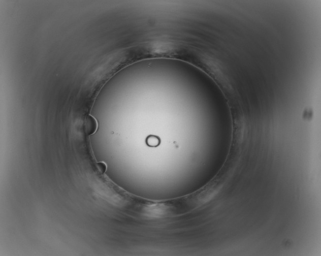 X0000111500269200907141320