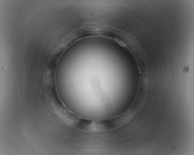 X0000111500270200907141320
