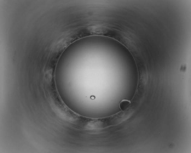 X0000111500271200907141320