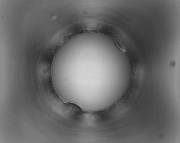 X0000111500272200907141320