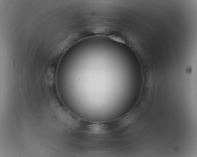 X0000111500273200907141320