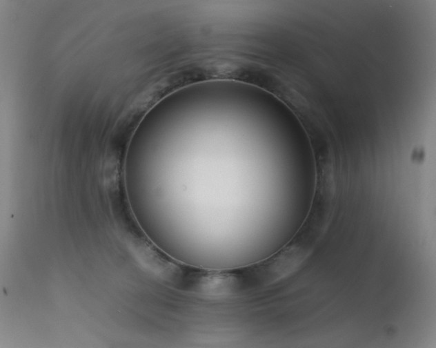 X0000111500274200907141320